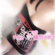 ヒメ日記 2025/06/25 00:14 投稿 ほのか ビアガーデンカーニバル