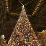 ヒメ日記 2025/12/21 19:14 投稿 Kokoro ワンカラット～人妻の輝き～