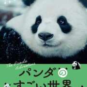 ヒメ日記 2026/02/09 20:07 投稿 Kokoro ワンカラット～人妻の輝き～
