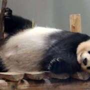 ヒメ日記 2026/02/22 21:02 投稿 Kokoro ワンカラット～人妻の輝き～