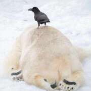 ヒメ日記 2026/02/28 19:11 投稿 Kokoro ワンカラット～人妻の輝き～