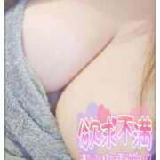 ヒメ日記 2025/04/15 10:00 投稿 水野　めぐみ 昼下がりの情事