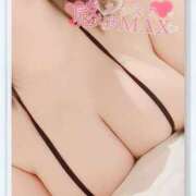 ヒメ日記 2025/09/03 09:00 投稿 水野　めぐみ 昼下がりの情事