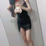 ヒメ日記 2025/05/03 13:30 投稿 こころ Tokyo fairy land-東京フェアリーランド-