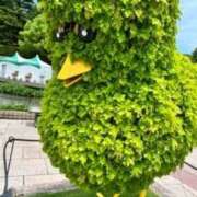 如月和子 大型連休 五十路マダム 愛されたい熟女たち 高松店