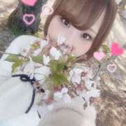 ヒメ日記 2025/04/15 19:46 投稿 みるは(13000) 原価デリヘルcospa（コスパ）