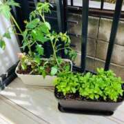 なな ゆる休日と、非常食候補のプレッシャー 夜這い茶屋 はなれ