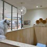 ヒメ日記 2025/05/08 17:47 投稿 ふうか ミスミセス