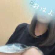 ヒメ日記 2025/04/10 09:48 投稿 まふゆ ミスミセス