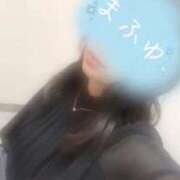 ヒメ日記 2026/04/03 09:47 投稿 まふゆ ミスミセス