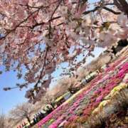 ヒメ日記 2025/04/30 08:27 投稿 りん ミスミセス