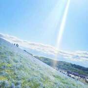 ヒメ日記 2025/05/02 09:27 投稿 りん ミスミセス