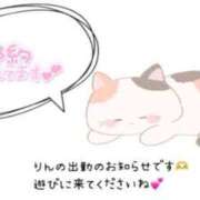 ヒメ日記 2025/05/27 09:47 投稿 りん ミスミセス