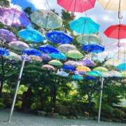 ヒメ日記 2025/05/30 12:47 投稿 りん ミスミセス