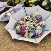 ヒメ日記 2025/06/10 19:47 投稿 りん ミスミセス