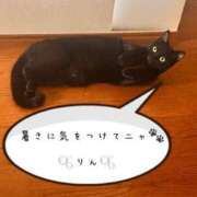 ヒメ日記 2025/06/23 09:57 投稿 りん ミスミセス