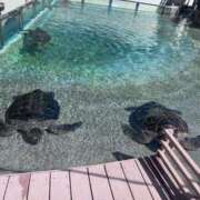 ヒメ日記 2025/07/19 10:47 投稿 りん ミスミセス