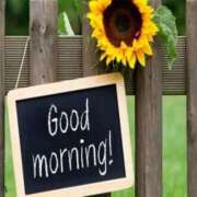 ヒメ日記 2025/06/27 10:47 投稿 しずく ミスミセス