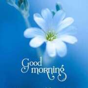 ヒメ日記 2025/12/09 08:17 投稿 しずく ミスミセス