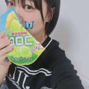 ヒメ日記 2025/07/29 03:50 投稿 あげは 谷町人妻ゴールデン倶楽部