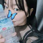 ヒメ日記 2025/07/30 02:55 投稿 あげは 谷町人妻ゴールデン倶楽部