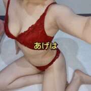 ヒメ日記 2025/09/15 03:50 投稿 あげは 谷町人妻ゴールデン倶楽部