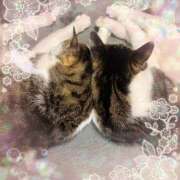 ヒメ日記 2025/06/03 10:26 投稿 さつき 藤沢人妻城