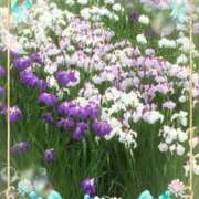 ヒメ日記 2025/06/12 23:21 投稿 さつき 藤沢人妻城