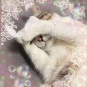 ヒメ日記 2025/06/18 21:39 投稿 さつき 藤沢人妻城