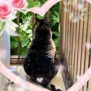 ヒメ日記 2025/06/28 13:04 投稿 さつき 藤沢人妻城