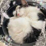 ヒメ日記 2025/07/11 18:31 投稿 さつき 藤沢人妻城