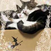 ヒメ日記 2025/07/12 14:39 投稿 さつき 藤沢人妻城