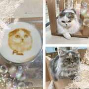 ヒメ日記 2025/07/25 15:36 投稿 さつき 藤沢人妻城