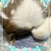 ヒメ日記 2025/08/14 23:22 投稿 さつき 藤沢人妻城