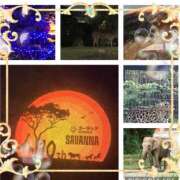 ヒメ日記 2025/08/23 01:53 投稿 さつき 藤沢人妻城