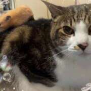 ヒメ日記 2025/09/22 12:33 投稿 さつき 藤沢人妻城