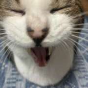 ヒメ日記 2025/09/30 13:31 投稿 さつき 藤沢人妻城