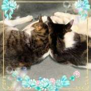 ヒメ日記 2025/10/07 23:58 投稿 さつき 藤沢人妻城