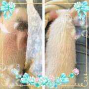 ヒメ日記 2025/10/14 12:51 投稿 さつき 藤沢人妻城