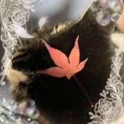 ヒメ日記 2025/11/20 17:10 投稿 さつき 藤沢人妻城