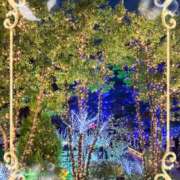 さつき 本日♪ 藤沢人妻城