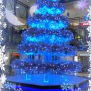 ヒメ日記 2025/12/13 12:51 投稿 さつき 藤沢人妻城