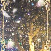 ヒメ日記 2025/12/29 11:29 投稿 さつき 藤沢人妻城