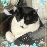 ヒメ日記 2026/03/08 02:07 投稿 さつき 藤沢人妻城