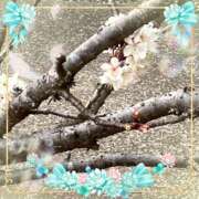 ヒメ日記 2026/03/17 15:07 投稿 さつき 藤沢人妻城