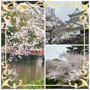 ヒメ日記 2026/04/08 00:08 投稿 さつき 藤沢人妻城