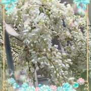 ヒメ日記 2026/04/25 00:36 投稿 さつき 藤沢人妻城