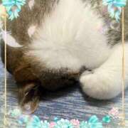 ヒメ日記 2026/04/29 23:31 投稿 さつき 藤沢人妻城