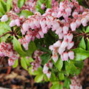 ヒメ日記 2025/04/10 23:50 投稿 さゆり 奥鉄オクテツ神奈川店（デリヘル市場グループ）