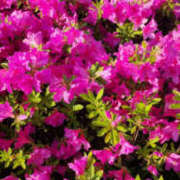 ヒメ日記 2025/05/04 07:35 投稿 さゆり 奥鉄オクテツ神奈川店（デリヘル市場グループ）